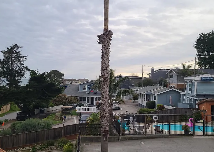 Sunny Cove Motel